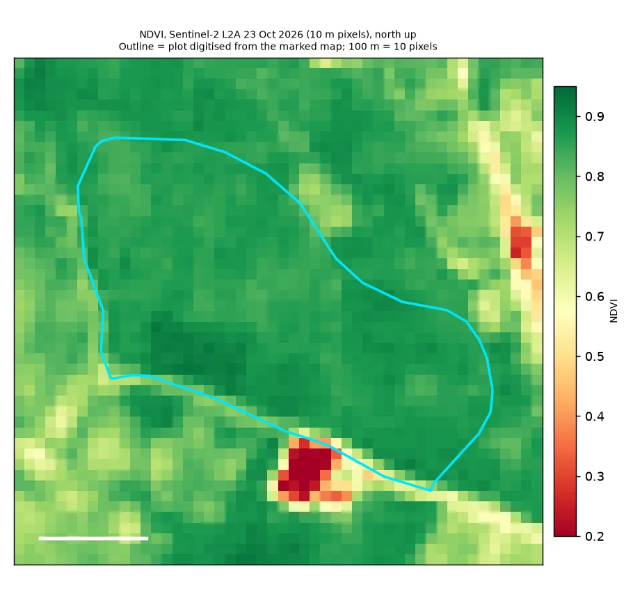 Greenness map of the Agnigangamma Temple plot