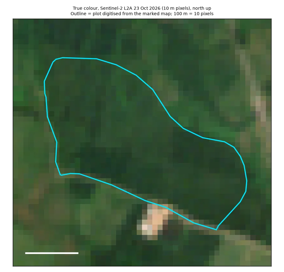 Satellite photo of the Agnigangamma Temple plot in normal colour