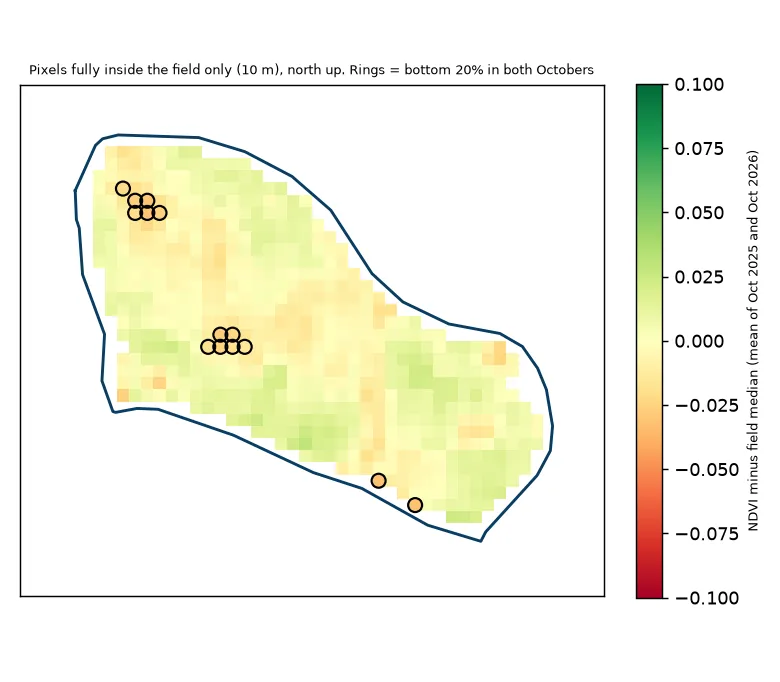 Weak-patch check, temple plot