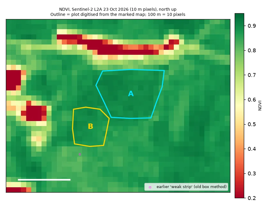 Greenness map of the Nilabadi Fishing Pond fields