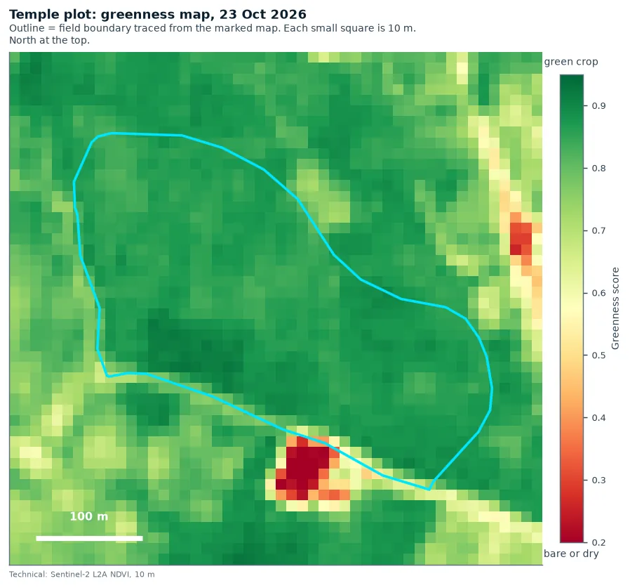 Greenness map of the Temple plot