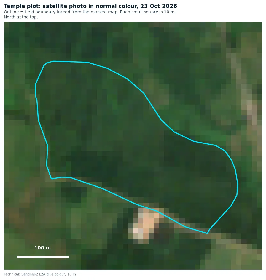 Satellite photo of the Temple plot in normal colour