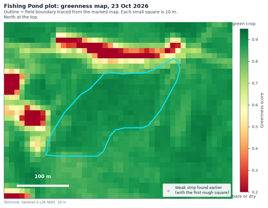 Greenness map of the Fishing Pond plot