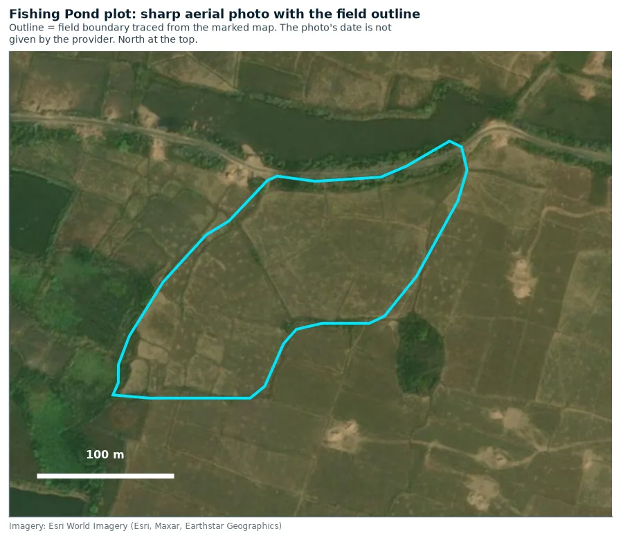 Outline of the Fishing Pond plot on a close-up aerial photo