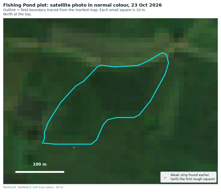Satellite photo of the Fishing Pond plot in normal colour
