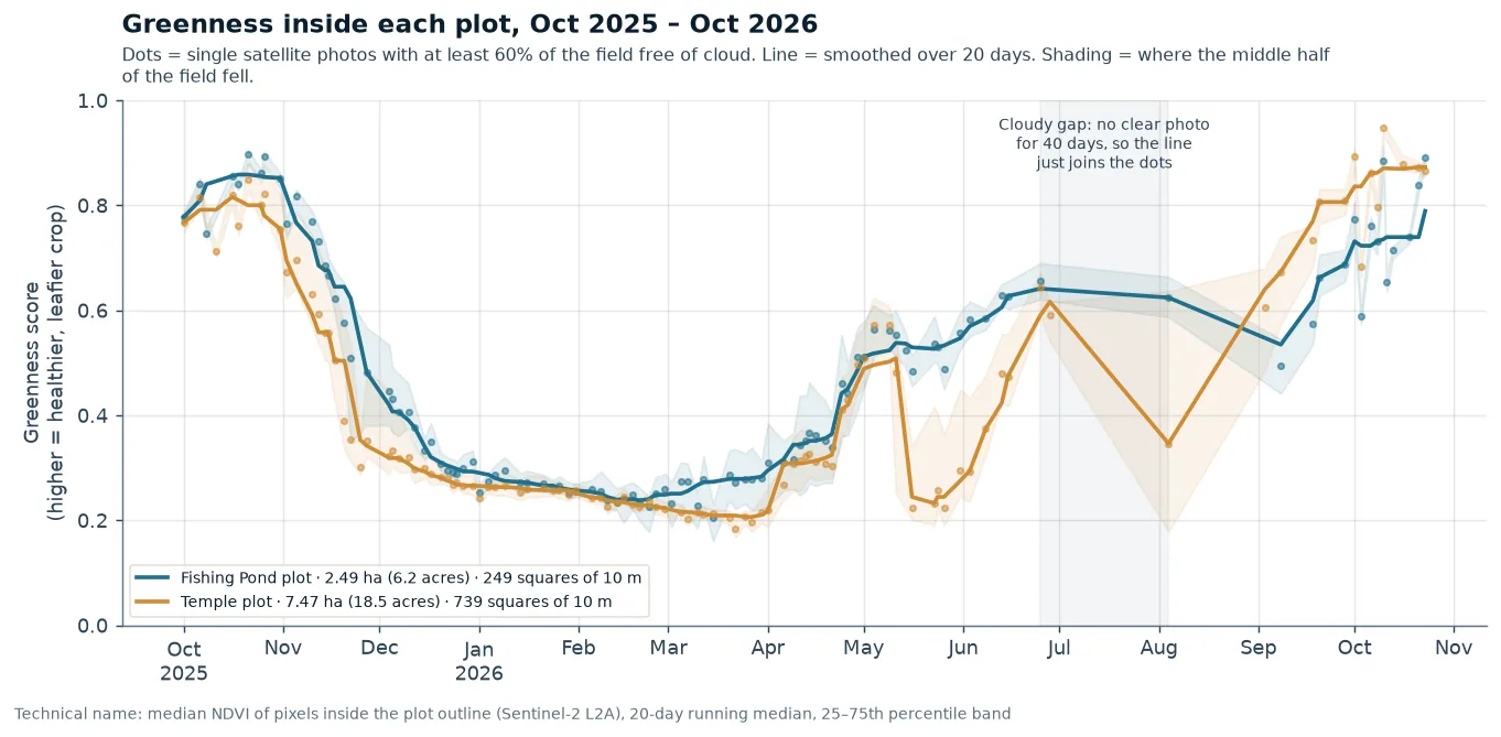 Greenness over time for the exact plots