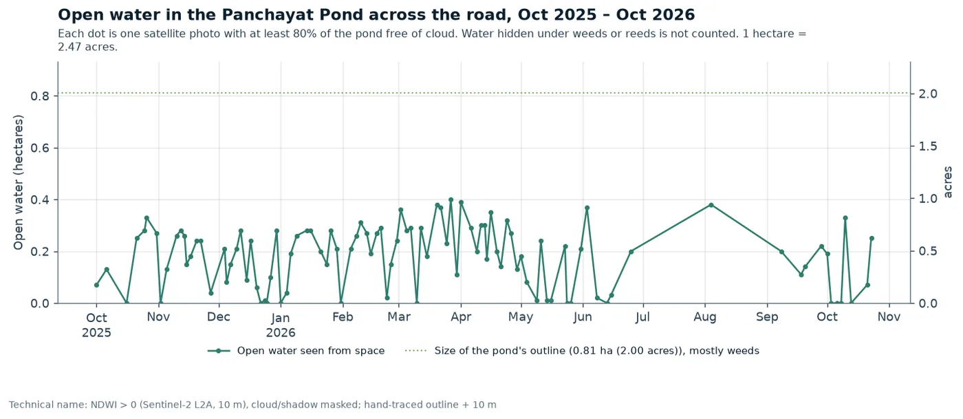 Open water in the Panchayat Pond, week by week